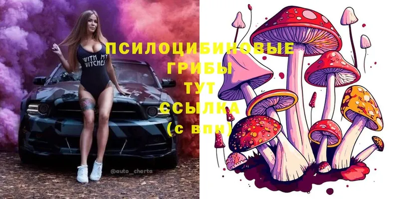 Псилоцибиновые грибы Cubensis  shop Telegram  Электроугли  что такое наркотик  ссылка на мегу ссылка 