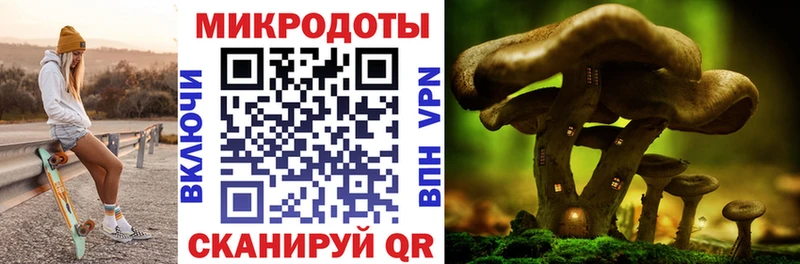 как найти закладки  Электроугли  Галлюциногенные грибы мицелий 
